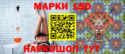 мдпв Моздок