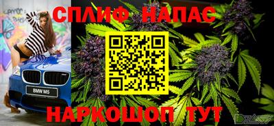 мдпв Моздок