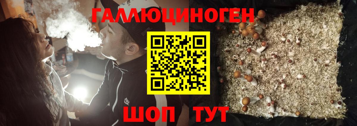 Псилоцибиновые грибы GOLDEN TEACHER Советский