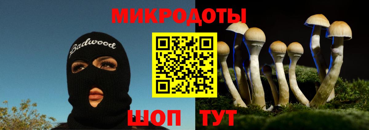 Советский  Псилоцибиновые грибы Psilocybe  Вход с VPN 